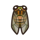 Evening Cicada
