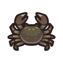 Mitten Crab