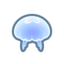 Moon jellyfish