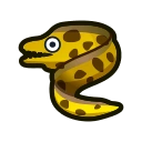 Moray Eel