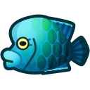 Napoleonfish