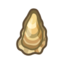 Oyster