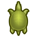 Soft-Shelled Turtle