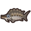 Sturgeon