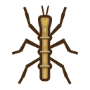 Walking Stick